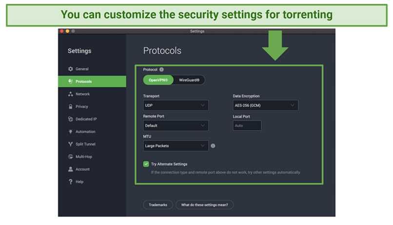 A screenshot of Private Internet Access's Protocol settings