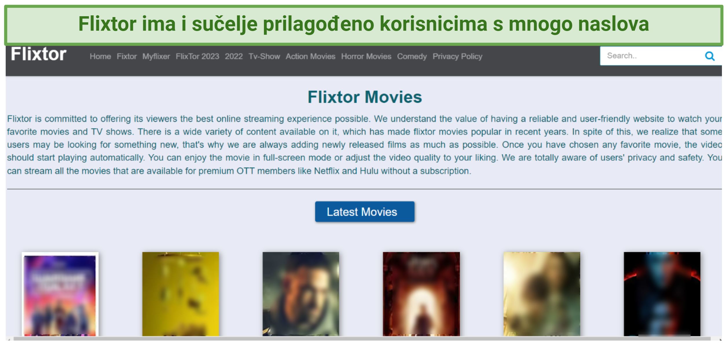A screenshot of Flixter's interface